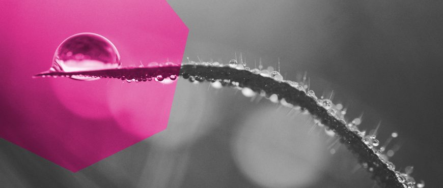 ACQUA blogimage