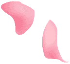 petals-bg3