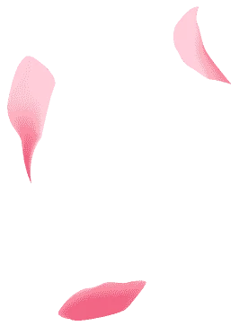 petals-bg1
